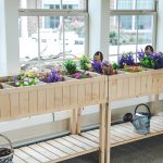 A bright indoor space features wooden planters filled with colorful flowers, including purple lavender and yellow blooms, placed against a wall with large windows. Below the planters are shelves holding a watering can and wicker baskets.