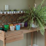 A wooden gardening table holds a variety of colorful empty plant pots and several small plants in white containers. A large fern sits atop the table, partly obscuring the lattice backboard. A thermostat is mounted on the wall above the table.