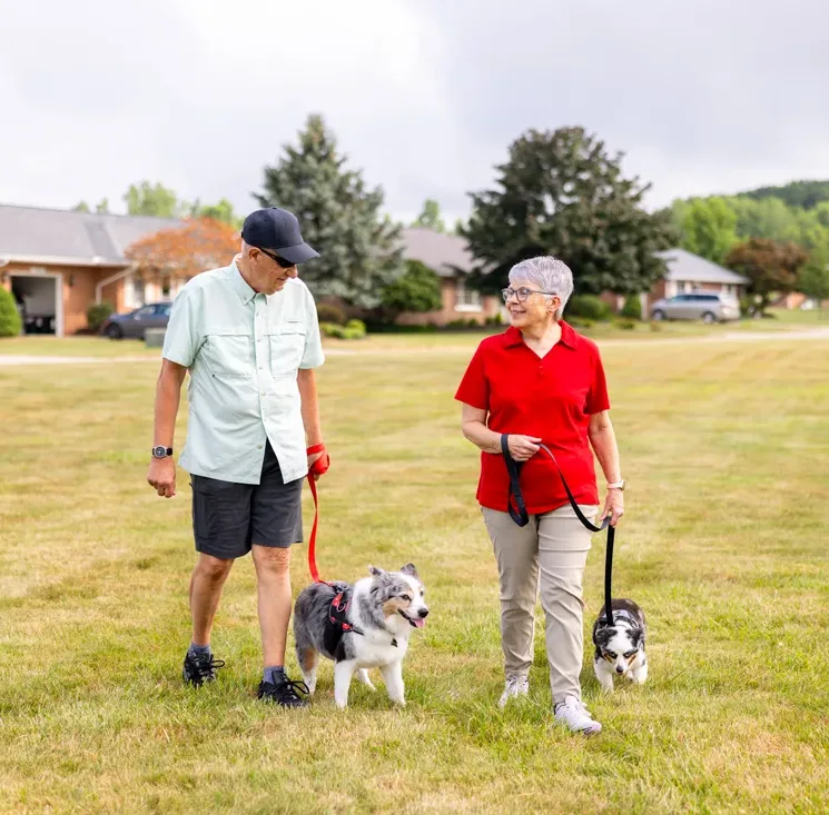 Older adult male and female walk dogs on leashes in a grassy area