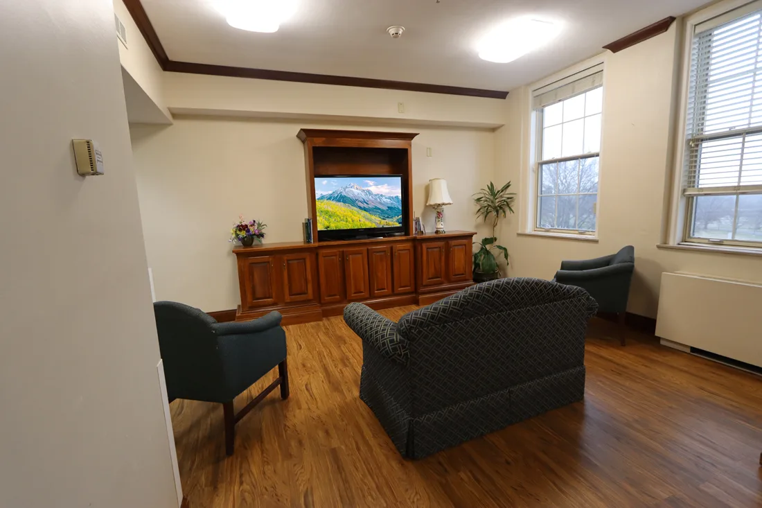 Living area with a large television