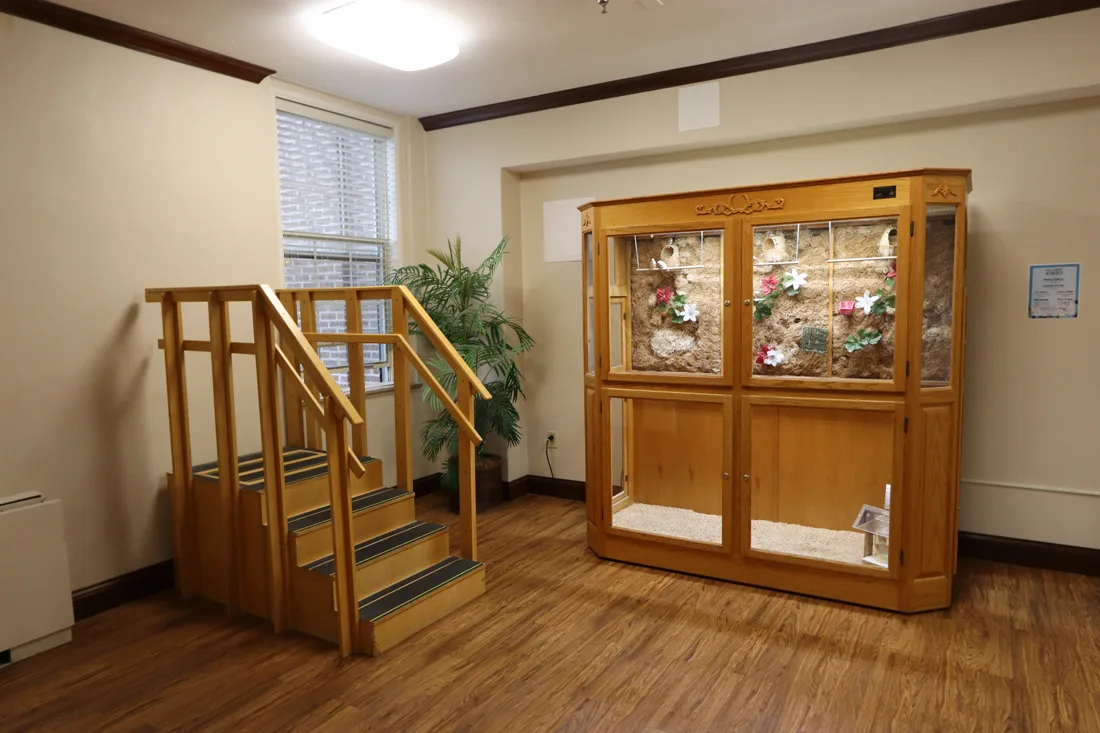 View of bird aviary next to a small staircase
