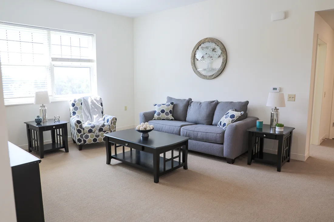 Living room with a couch and a chair