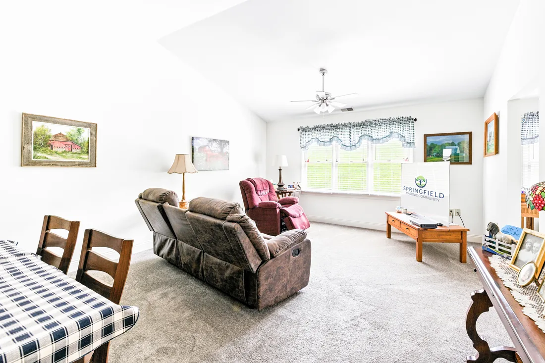 Living and dining area