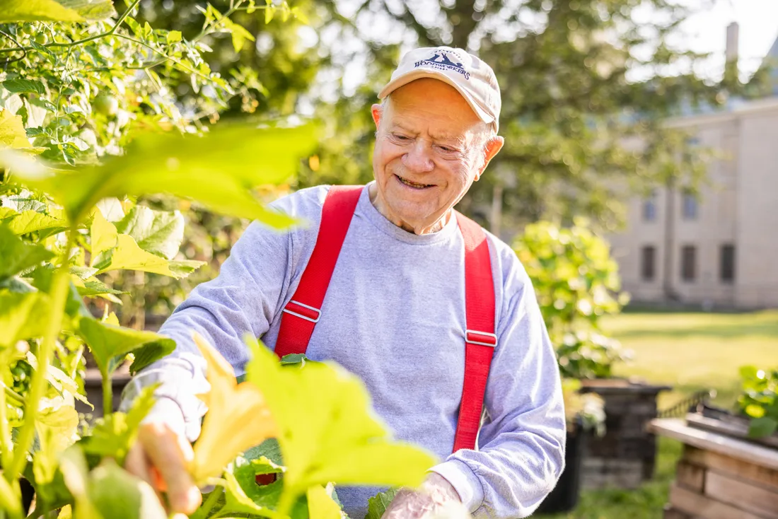 Older adult male tends to plants outdoors
