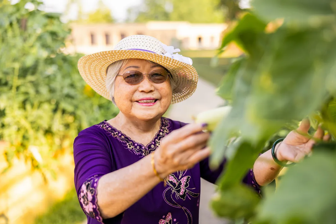 Older adult female wearing a hat reaches up toward a tree outdoors