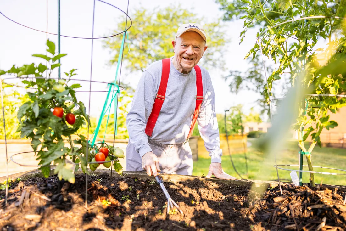 Older adult male gardens outdoors