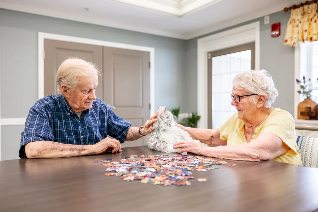 Older adult male and female pet a robotic cat and work on a puzzle