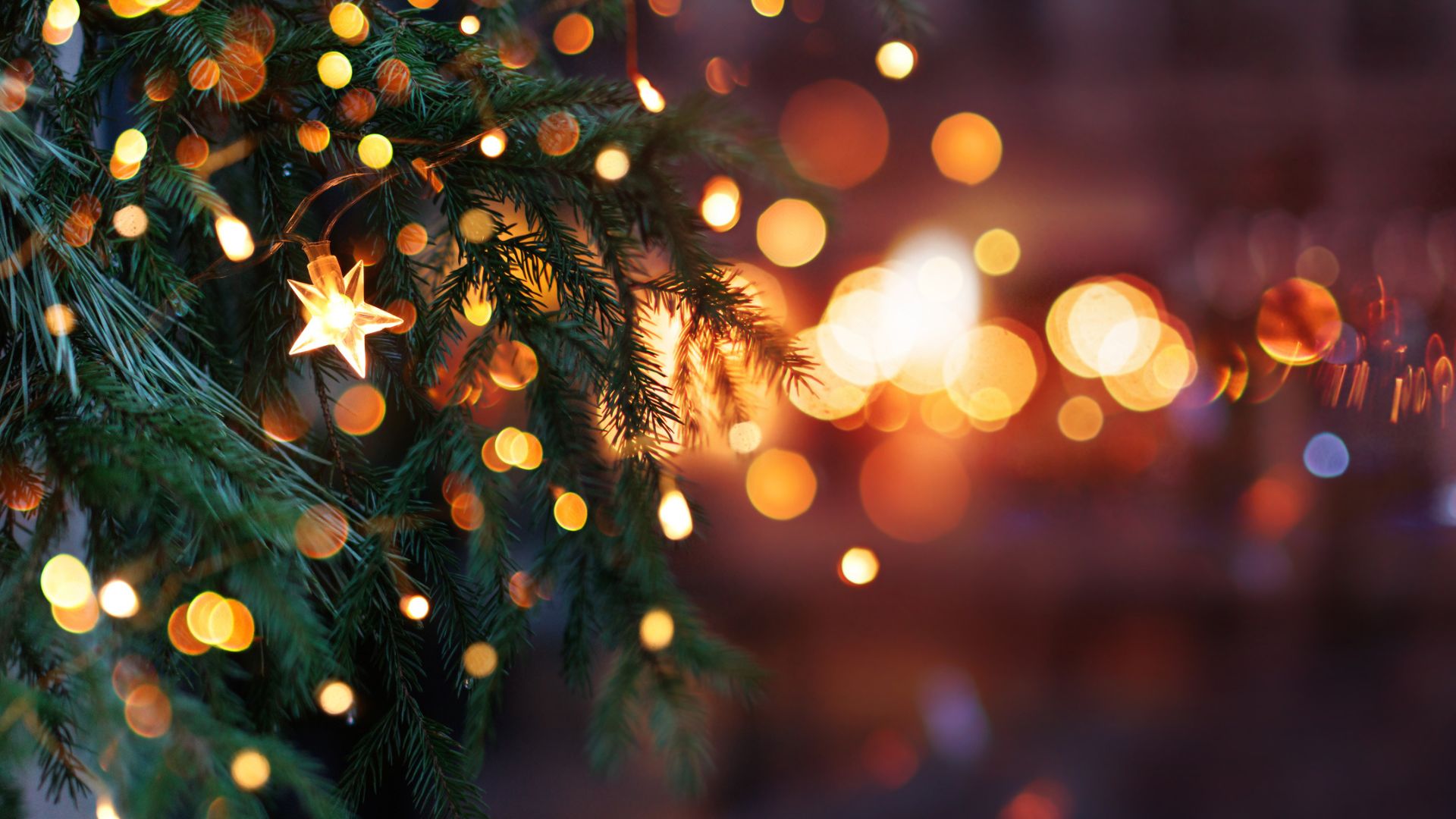 Close up view of lit holiday tree