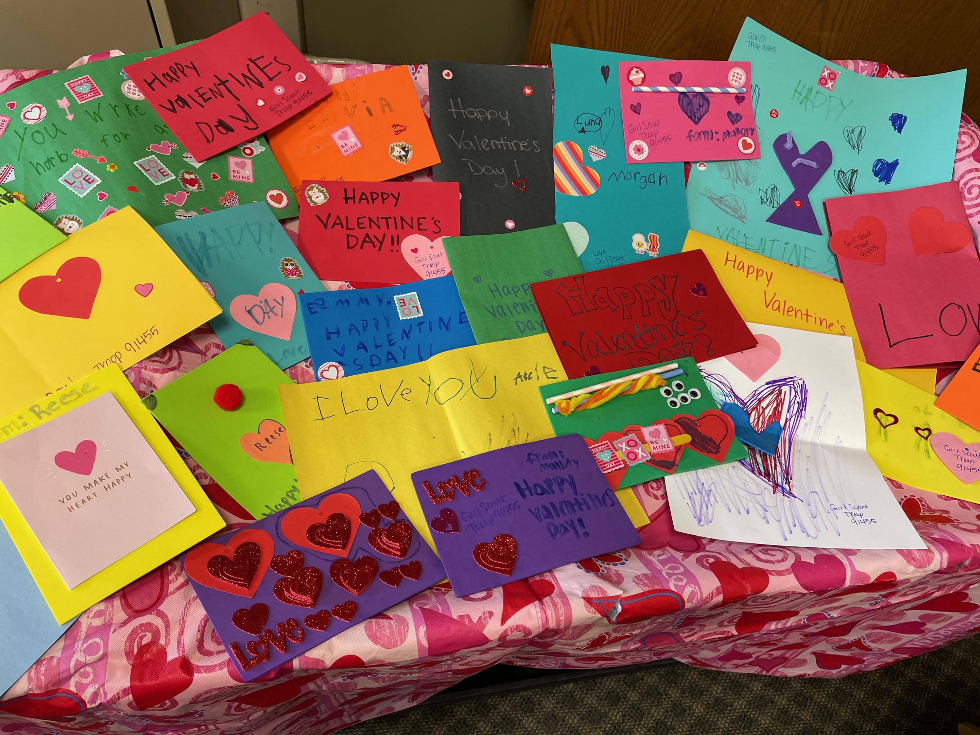 Girl Scouts Visit Western Reserve Masonic Community