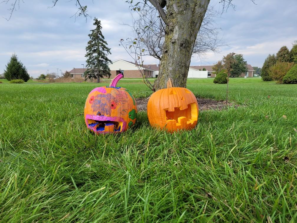Carved pumpkins outside at the fall fest