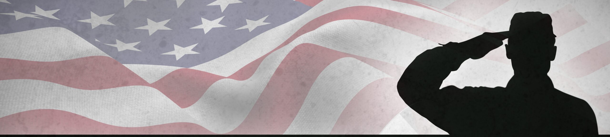 Graphic of silhouette of soldier saluting with US flag in background