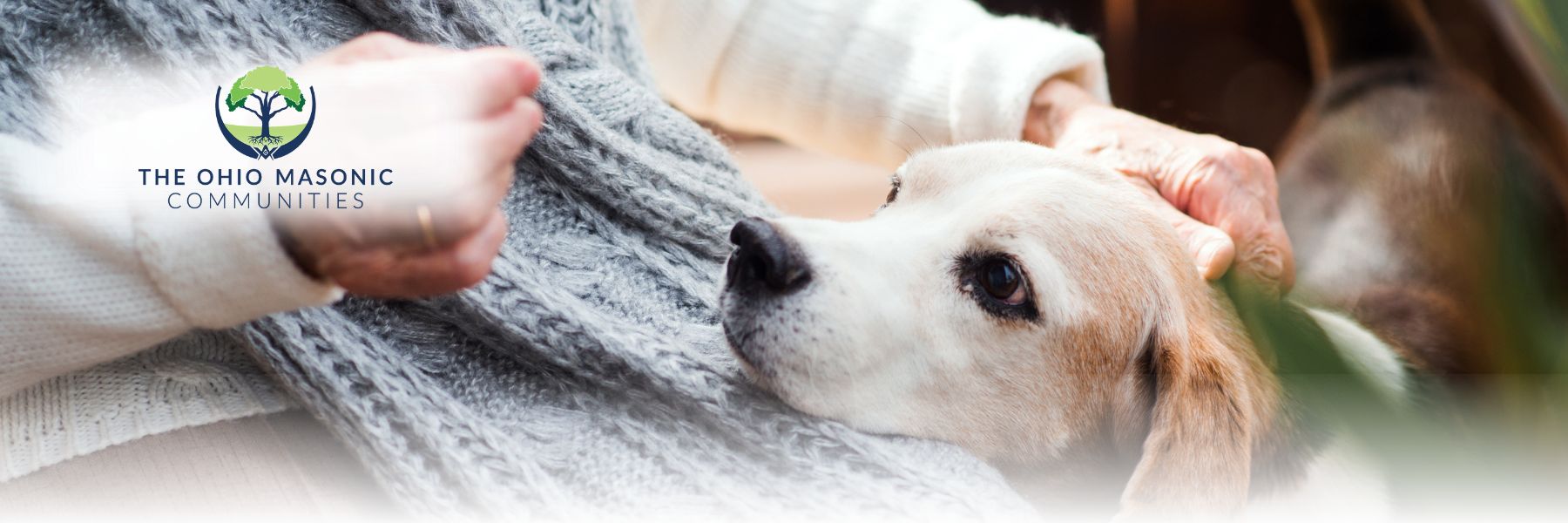 Older adult petting dog with its head on their lap