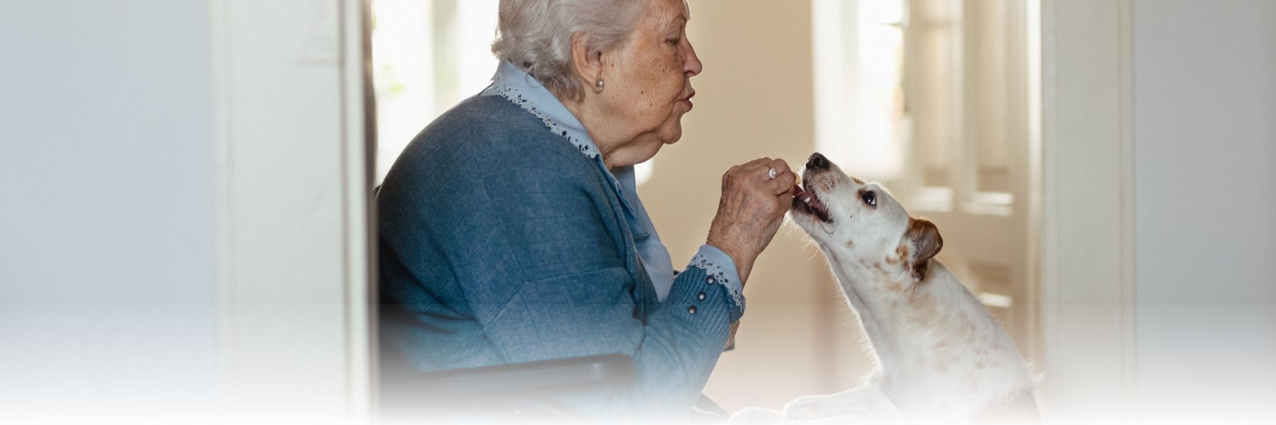 An older adult woman feeding her dog can help enrich her life
